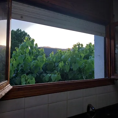 El Jardin De Dora A 10 Minutos De Blanes Tordera