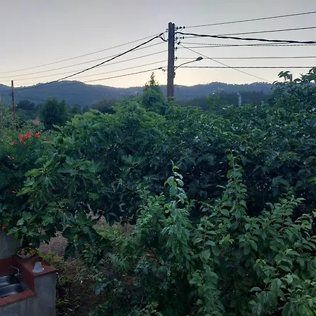Holiday home El Jardin De Dora A 10 Minutos De Blanes Tordera
