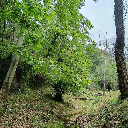 El Jardin De Dora A 10 Minutos De Blanes