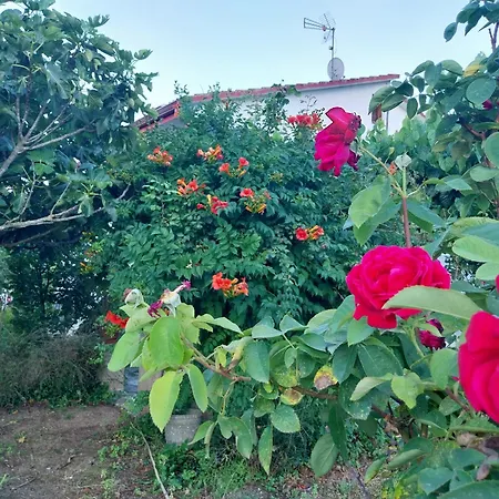 Holiday home El Jardin De Dora A 10 Minutos De Blanes *