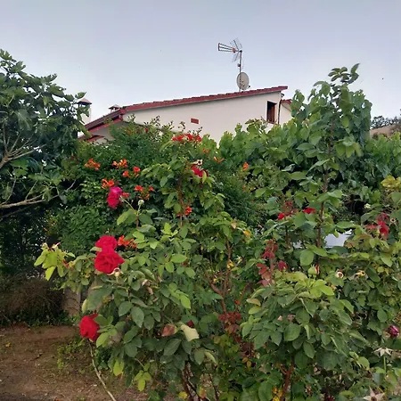 Holiday home El Jardin De Dora A 10 Minutos De Blanes