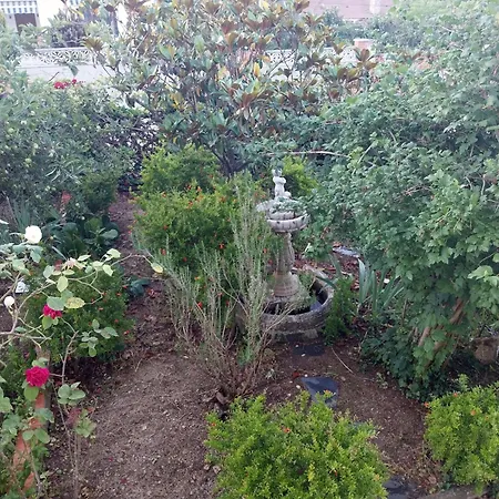 El Jardin De Dora A 10 Minutos De Blanes Holiday home Tordera